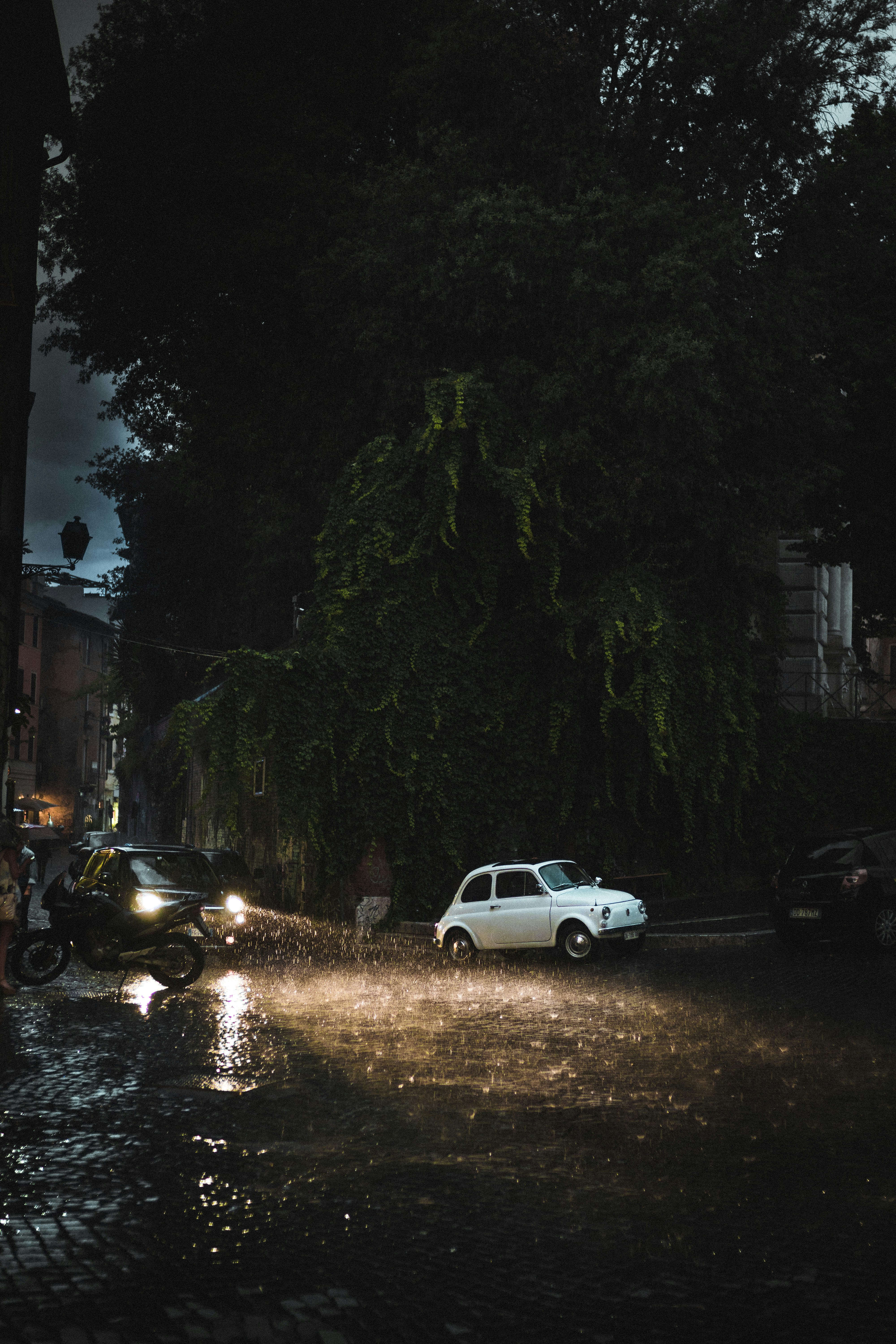 Photo by davidramr96