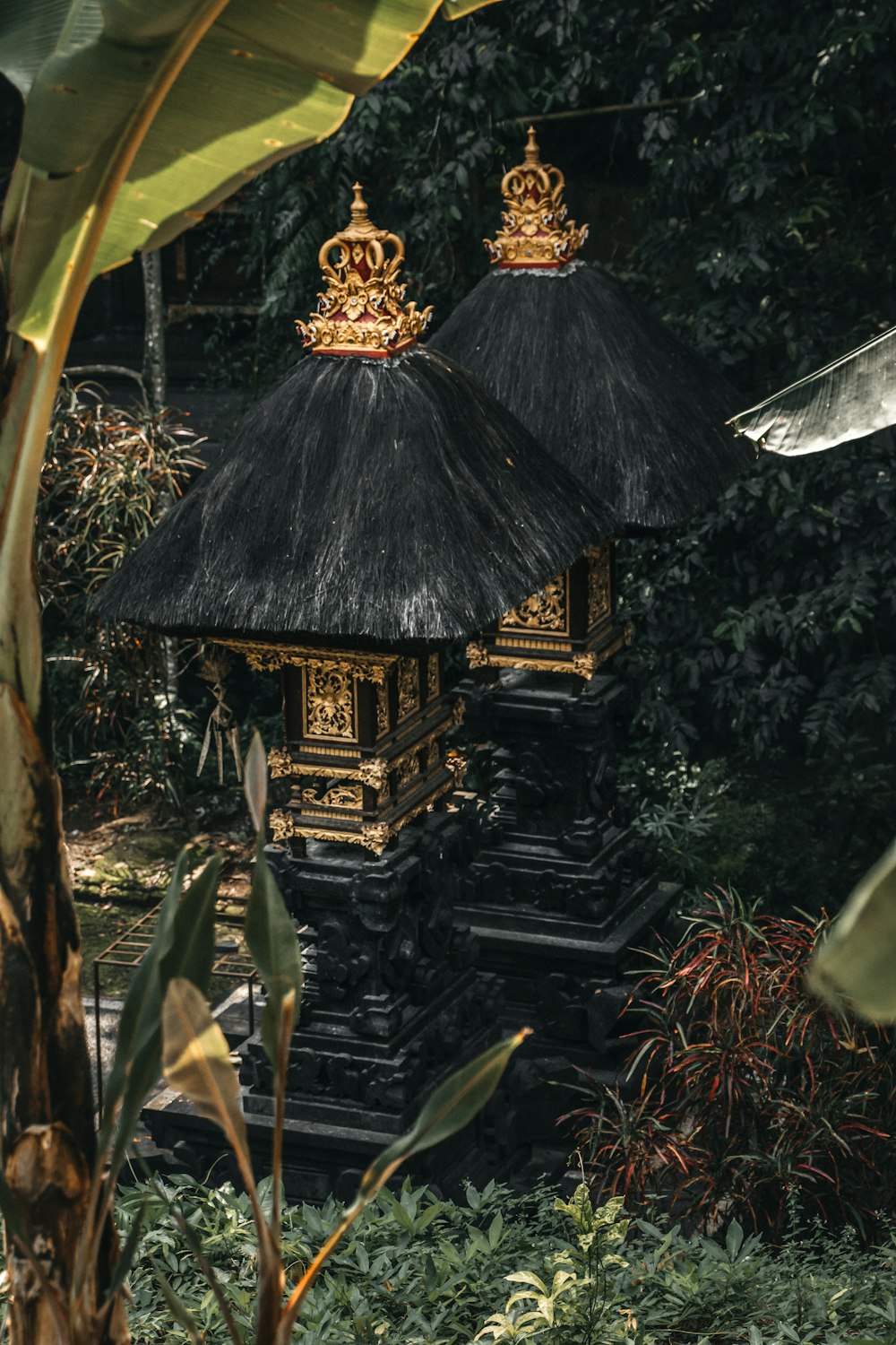 brown wooden gazebo in the middle of the forest