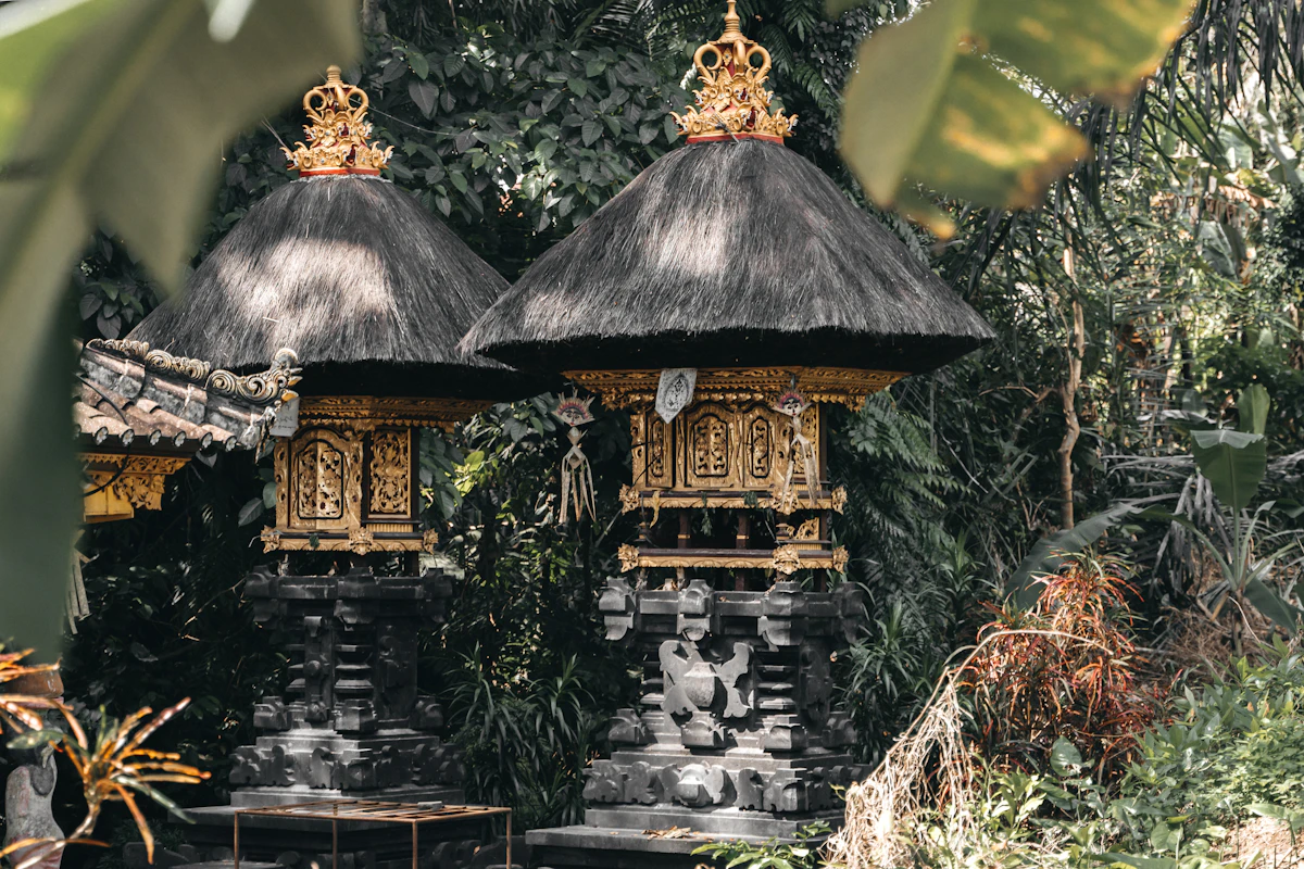 Ubud Royal Arts & Sacred Monkey Forest Guided Walking Tour