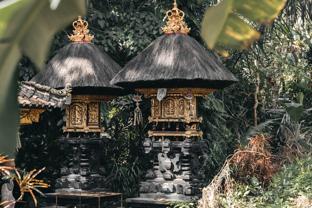 brown wooden gazebo surrounded by green trees during daytime