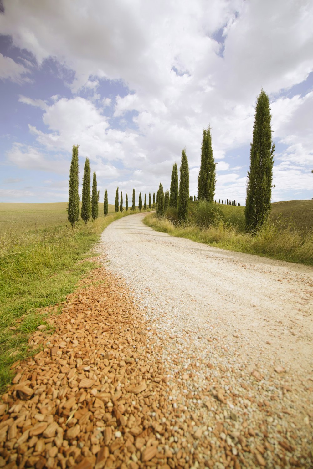 brown dirt road between green grass field during daytime