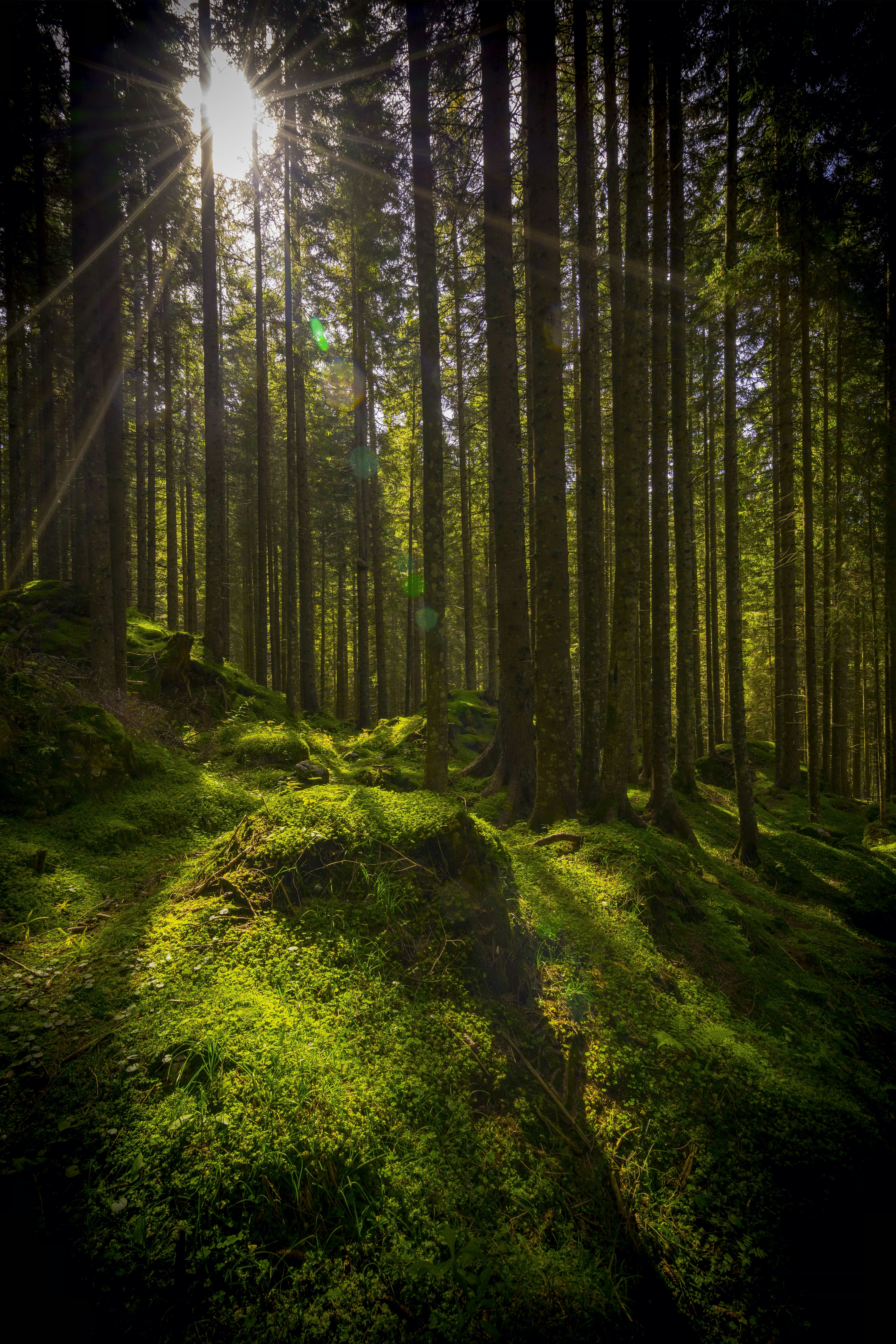 Photo by bresson1984