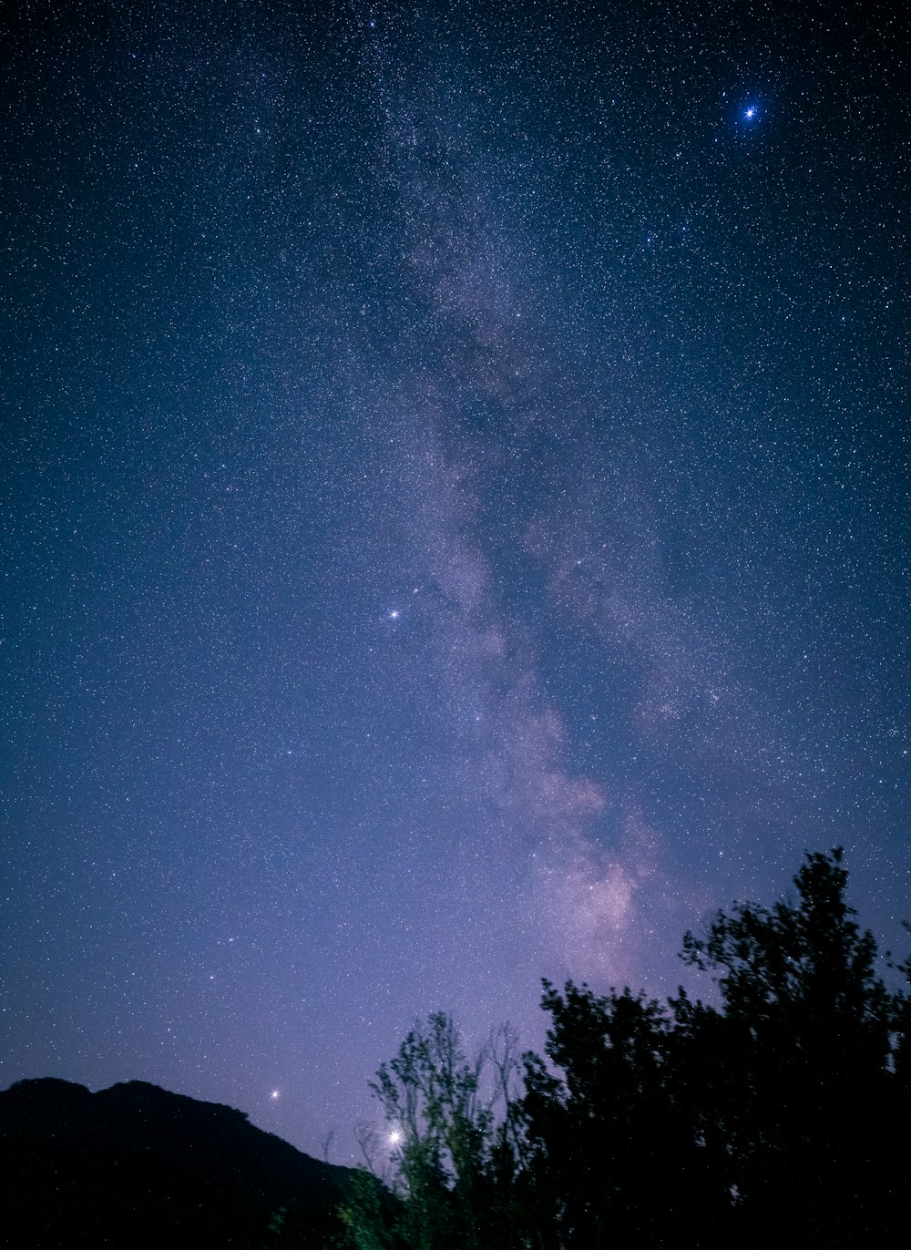 green trees under blue sky during night time