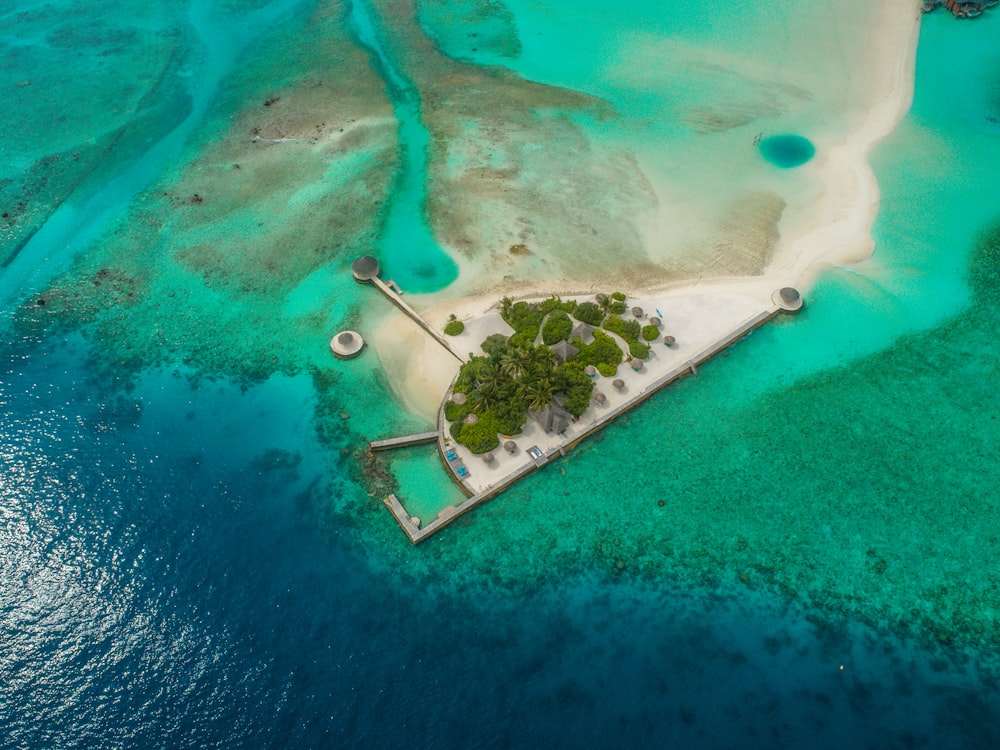 aerial view of beach during daytime