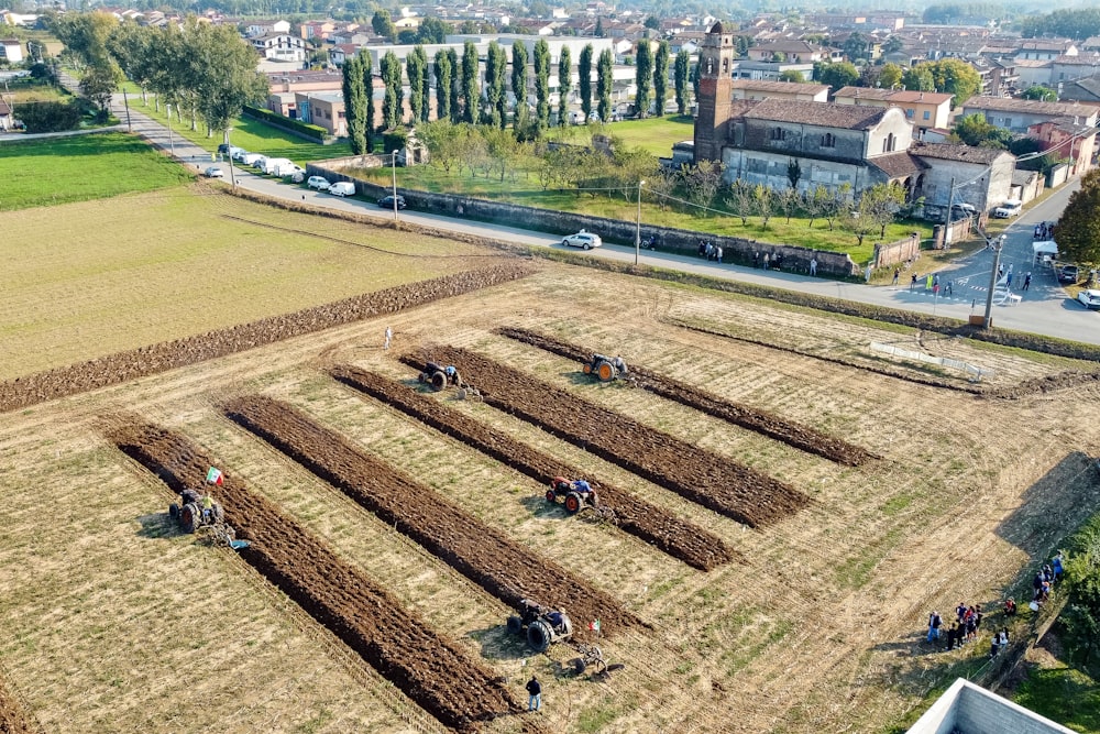 Veduta aerea di alberi verdi e campo marrone durante il giorno