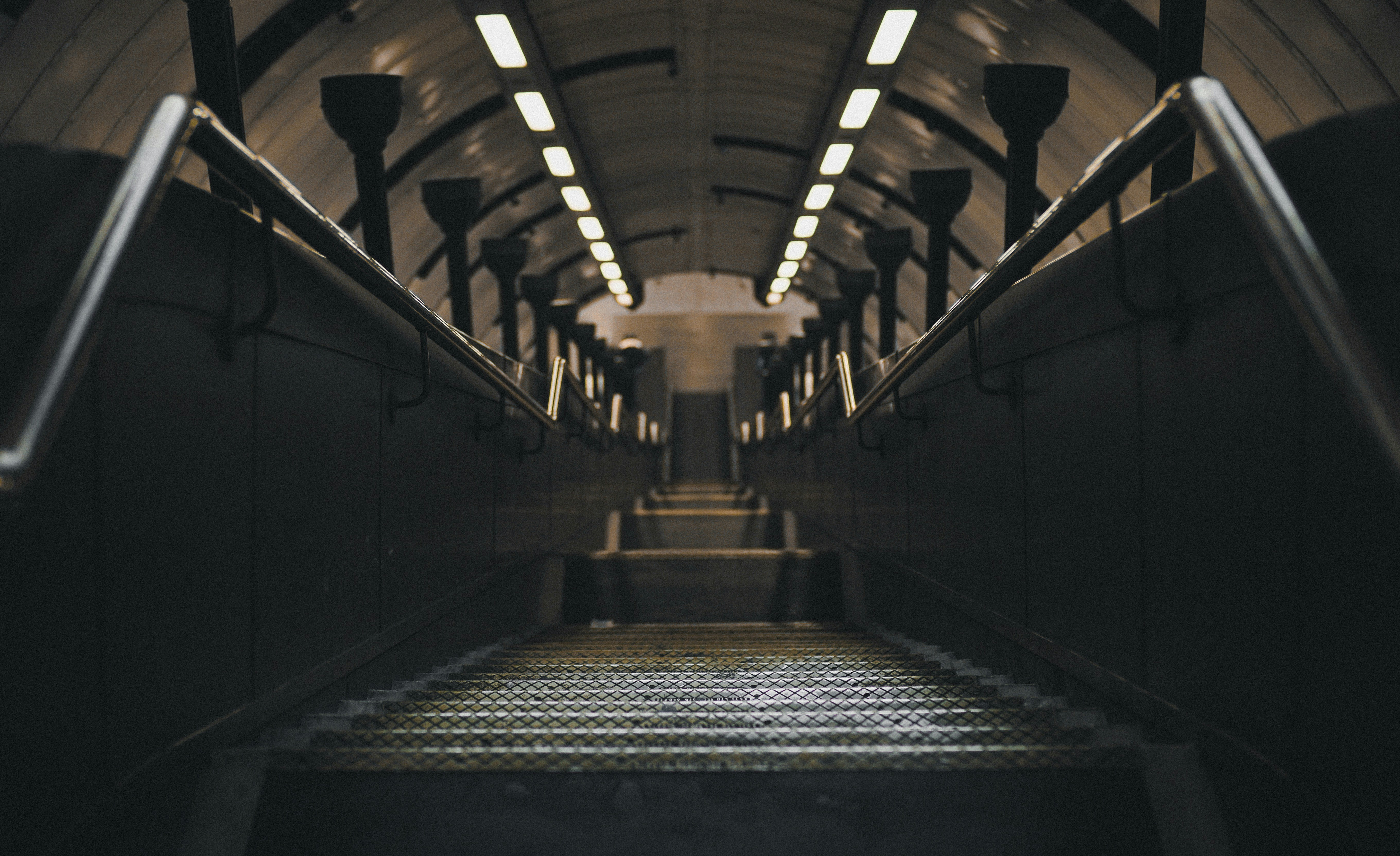 Photo by davidramr96