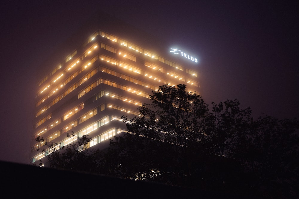 lighted building near green trees during night time