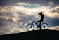 silhouette of person riding on bicycle during daytime