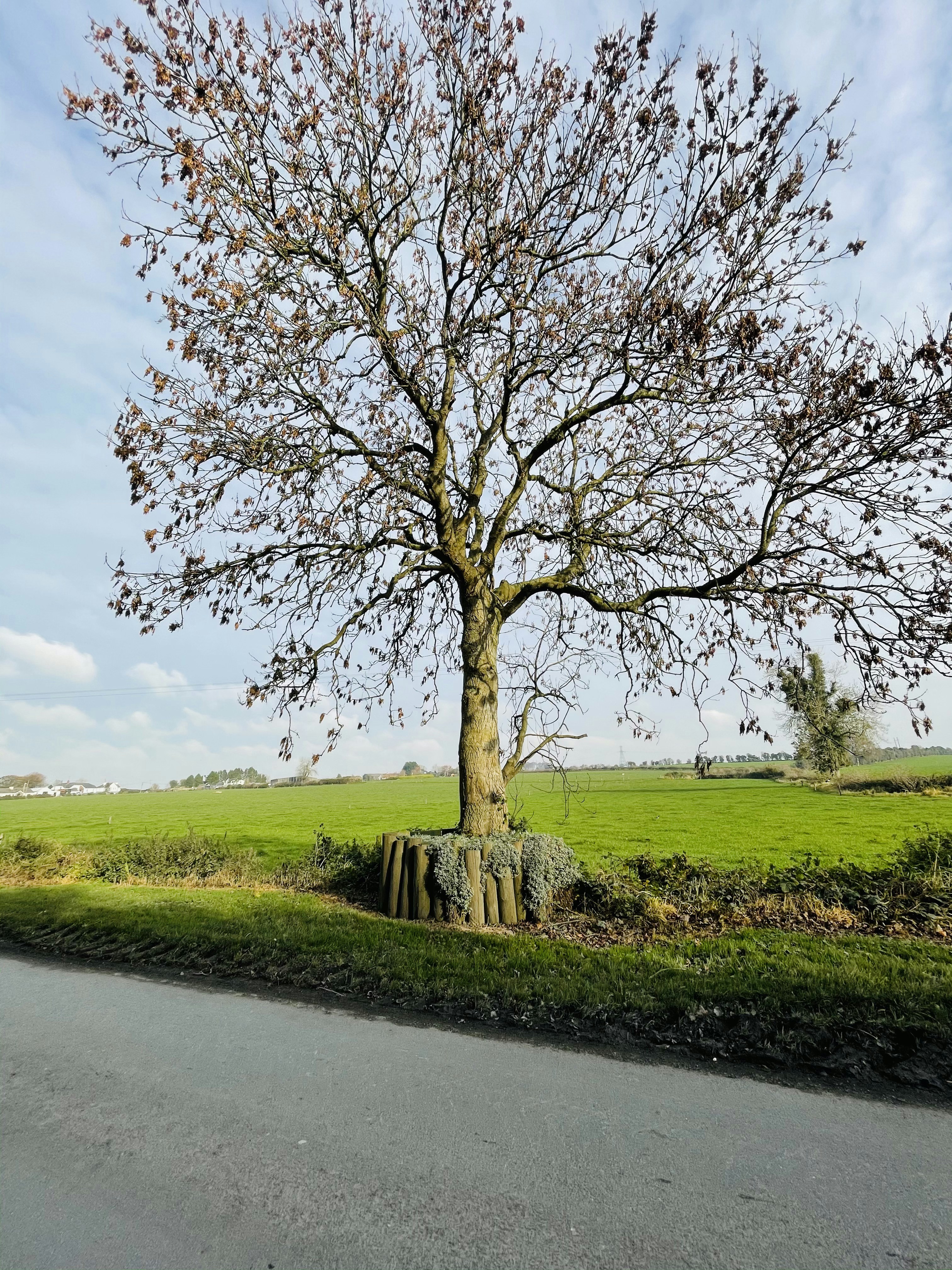 Photo by glenfarrelly