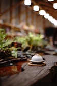 A steaming cup of hojicha tea in a handcrafted ceramic cup surrounded by small plants.