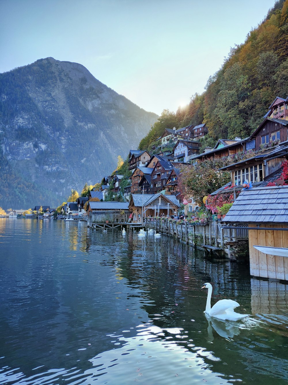 brown wooden houses near body of water during daytime