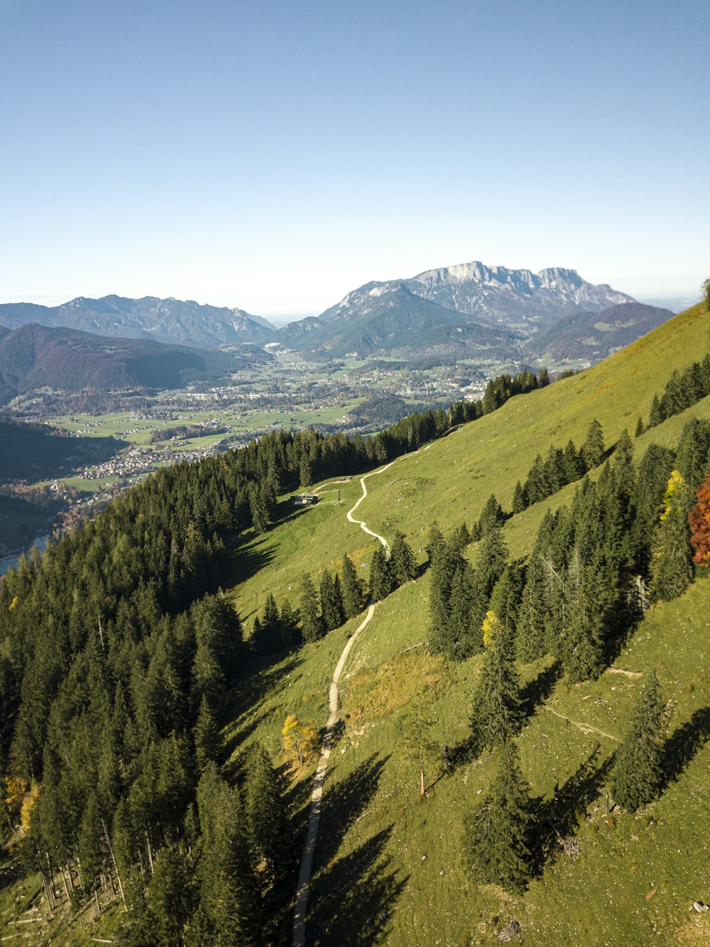 grüne und braune Bäume am Berg tagsüber