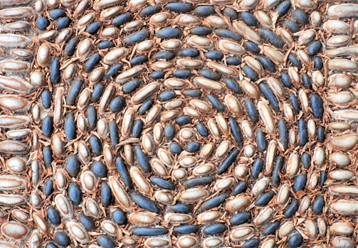An intricate spiral pattern composed of oval-shaped stones, alternating in hues of dark blue and light beige, with a surrounding border of smaller stones. The design is interspersed with dried brown leaves, adding texture and contrast to the natural arrangement.