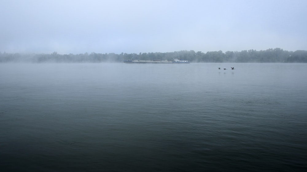 body of water near trees during daytime