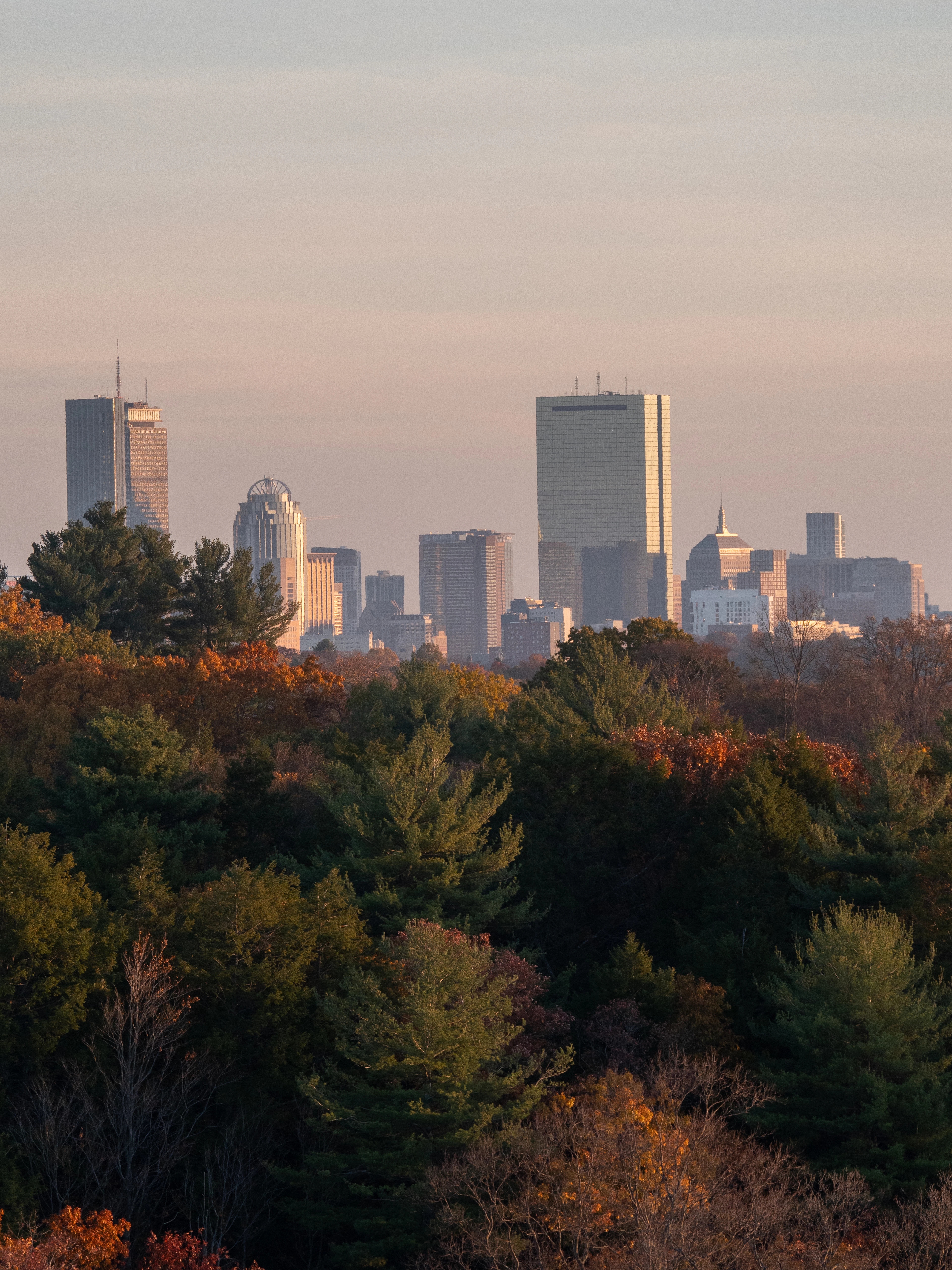 The Boston skyline at golden hour seen across a ridge of autumn treetops, the Prudential and Hancock towers and the domed Custom House pale in the haze above the forest.