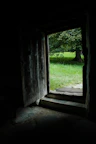Close-up of a wooden door opening to a peaceful garden path with vibrant greenery.
