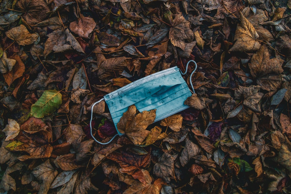 pacote de plástico branco e vermelho em folhas secas