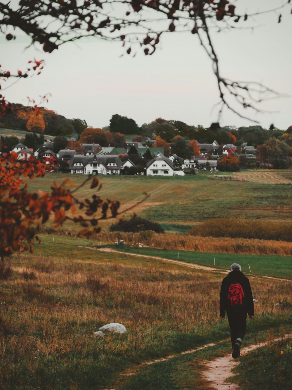 man in black jacket standing on green grass field during daytime