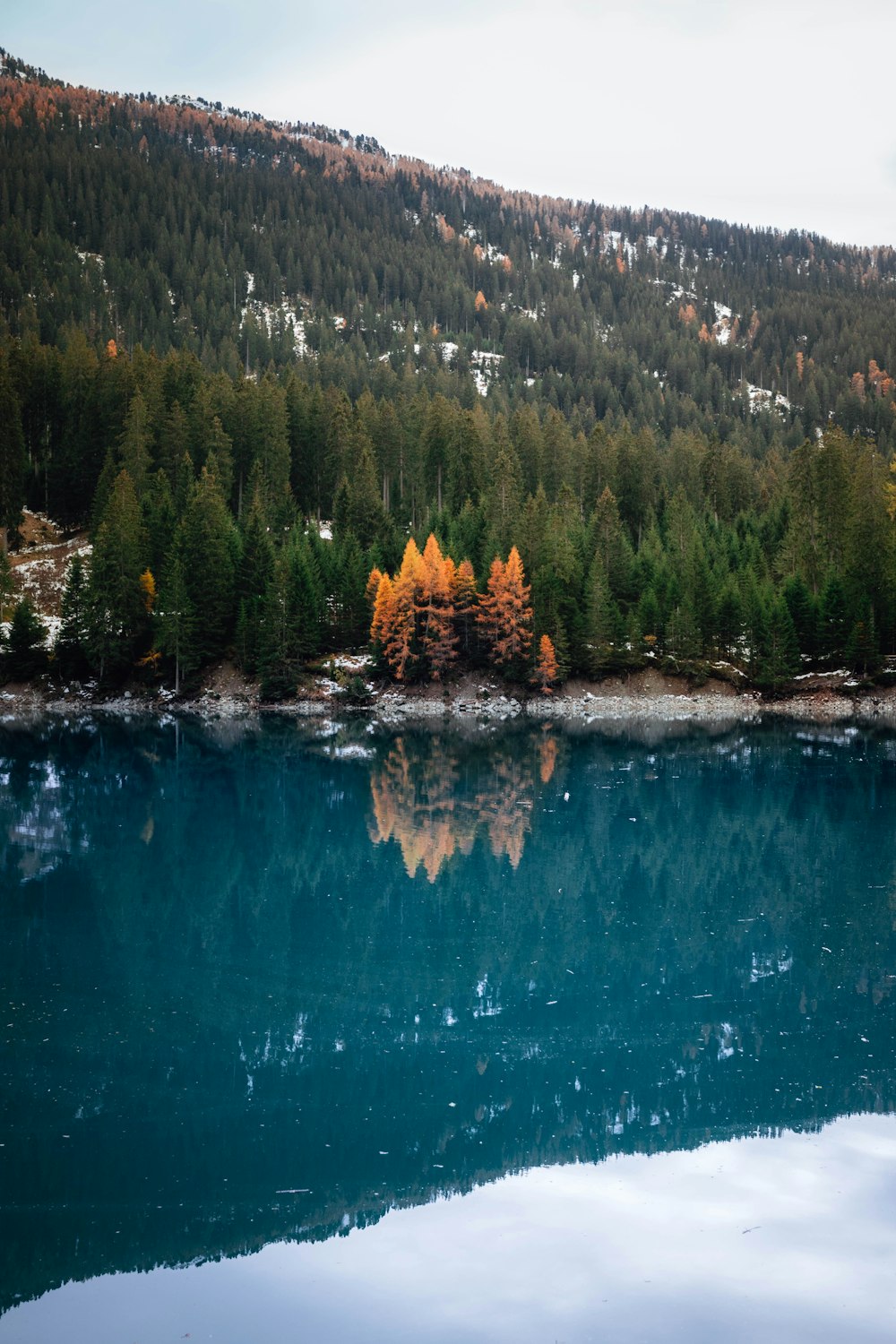 green trees beside blue lake during daytime