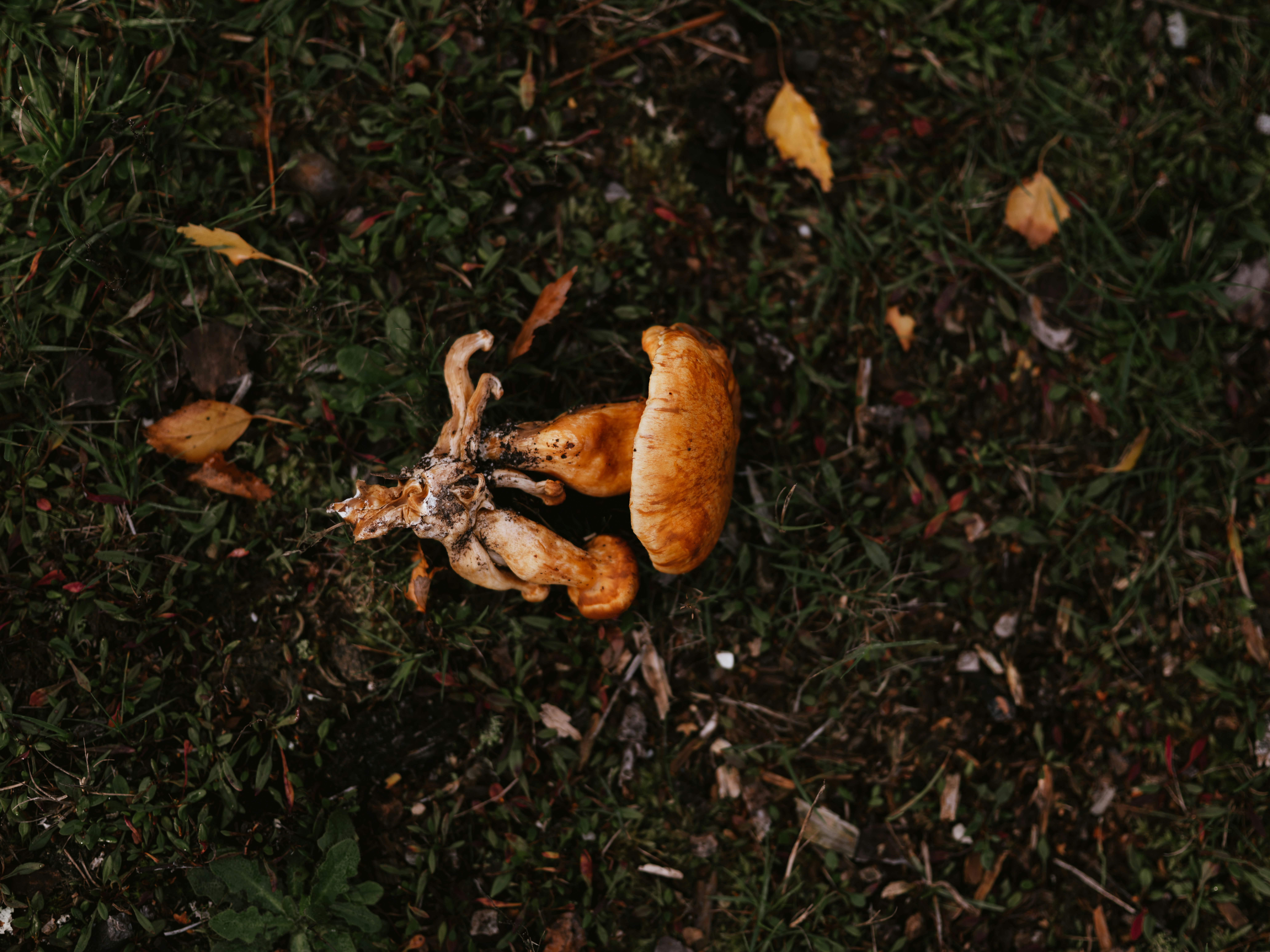 Photo by anniespratt