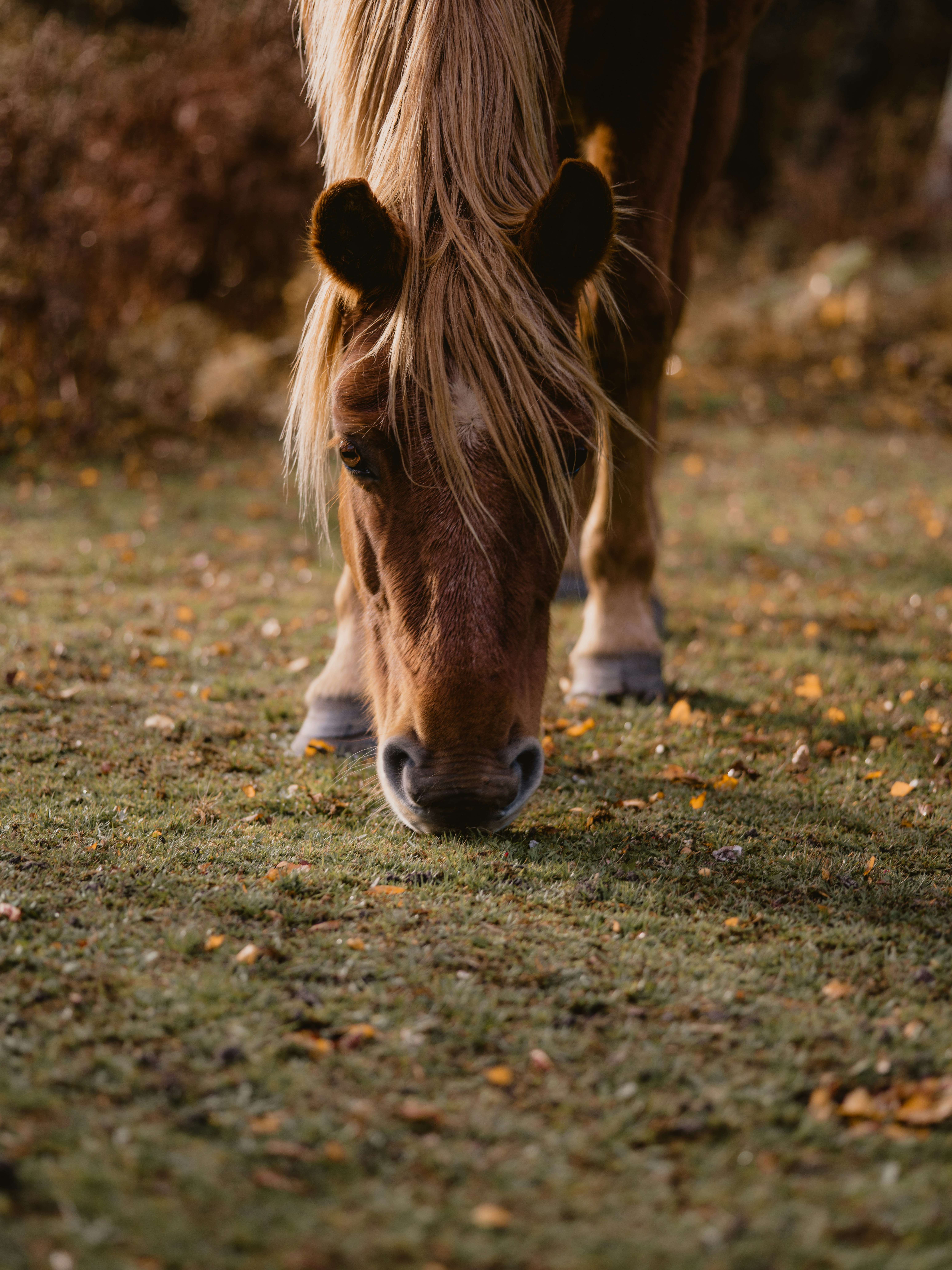 Photo by anniespratt