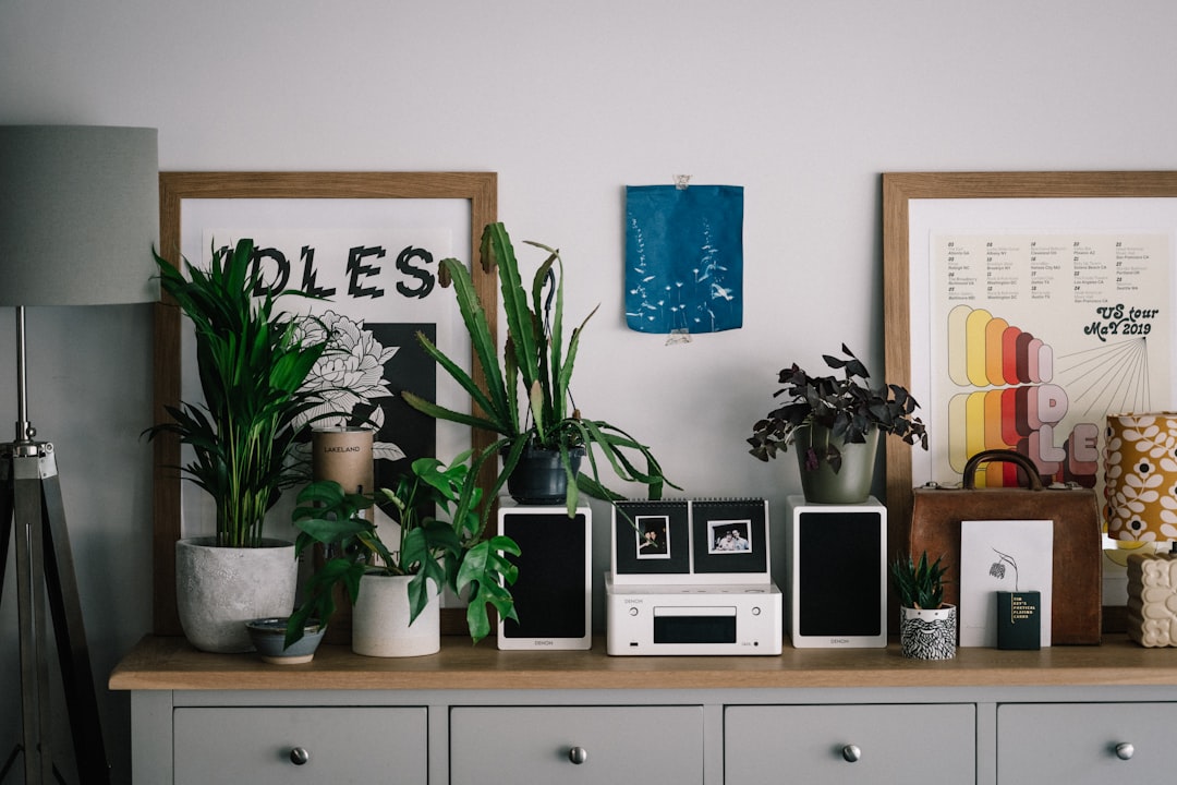 green potted plant on white wooden cabinet