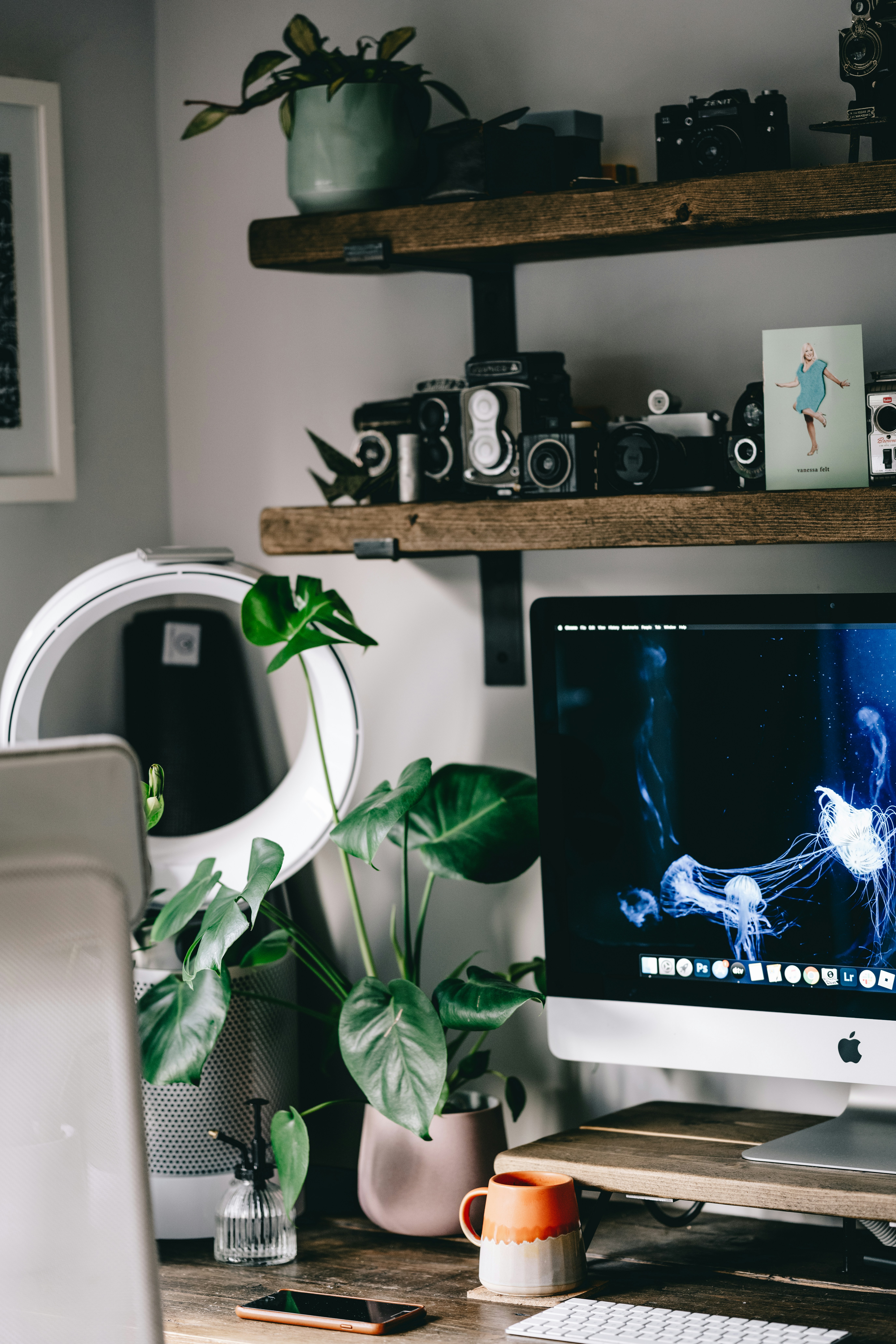 Photo by anniespratt