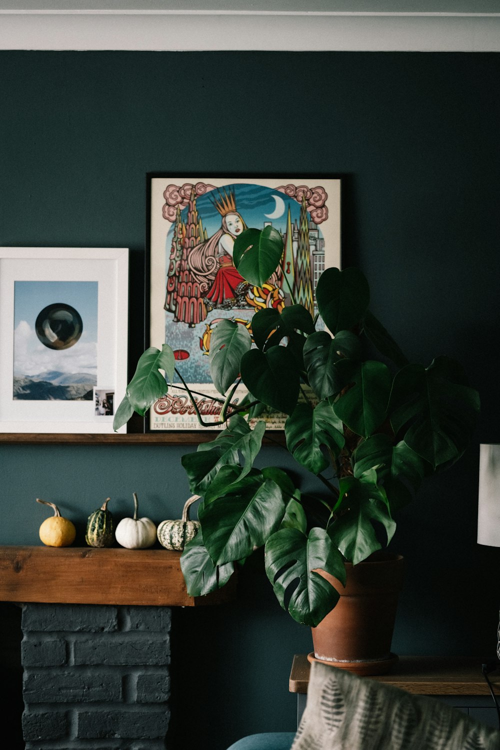 green plant on brown wooden table