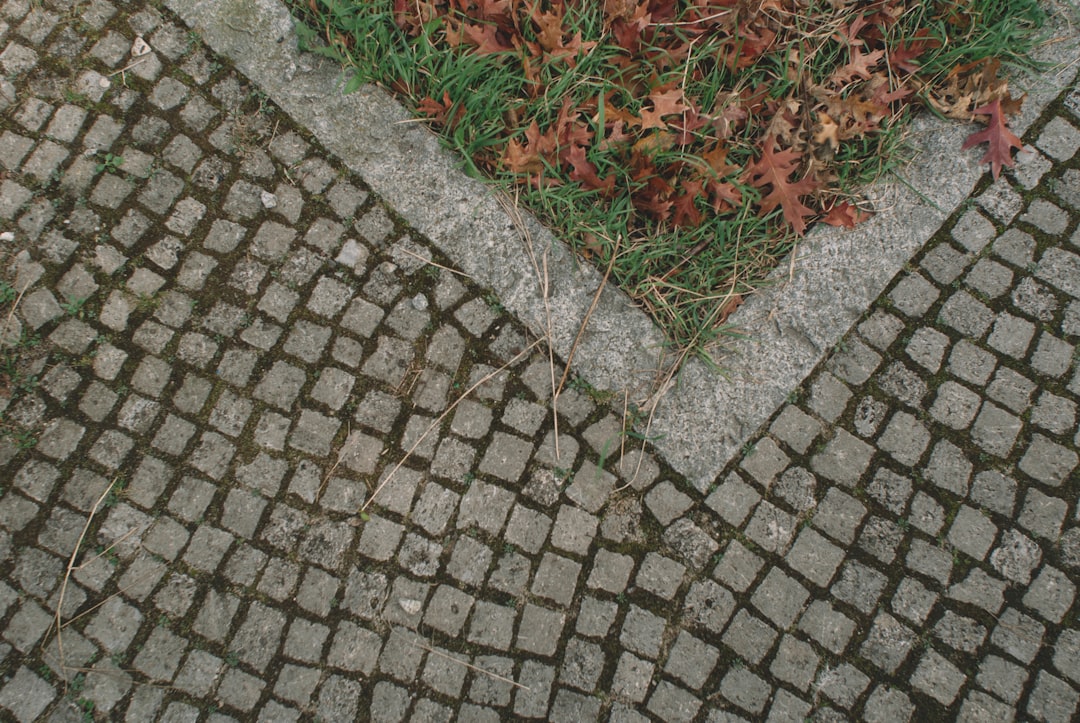 gray brick floor with dried leaves