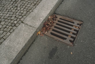 A close-up of a street drainage grate situated at the edge of a paved road and cobblestone walkway. Several dry, brown leaves have collected around the grate, indicating autumn. The textures of the different paving materials are distinctly visible.