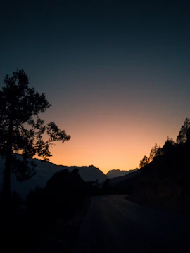 A serene roadside scene with scattered leaves and a distant horizon under a twilight sky.