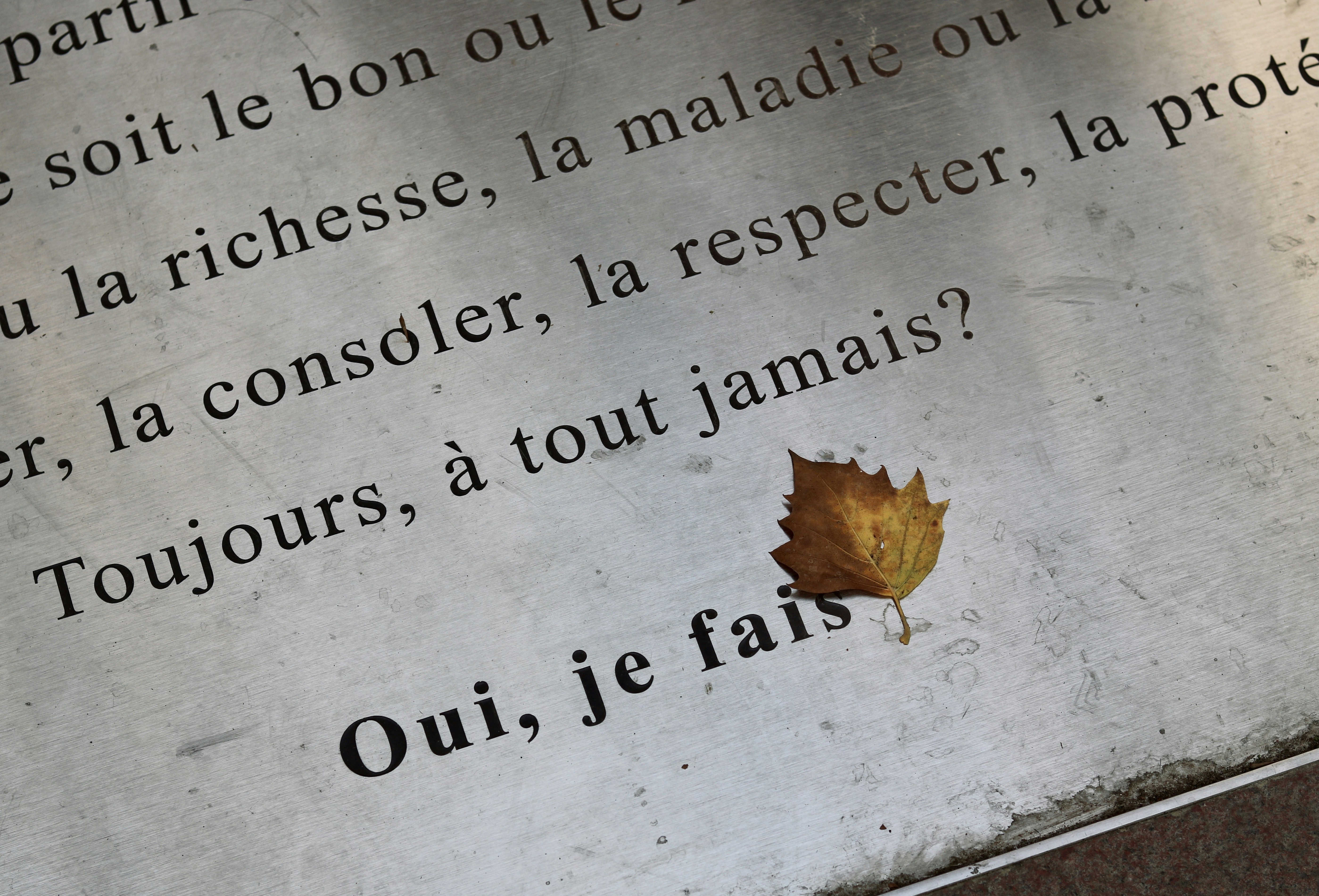 a piece of paper with a leaf on it
