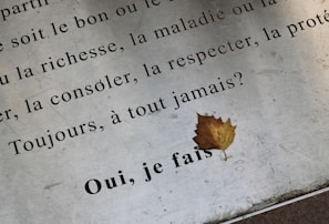a piece of paper with a leaf on it