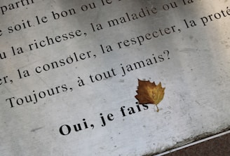 a piece of paper with a leaf on it