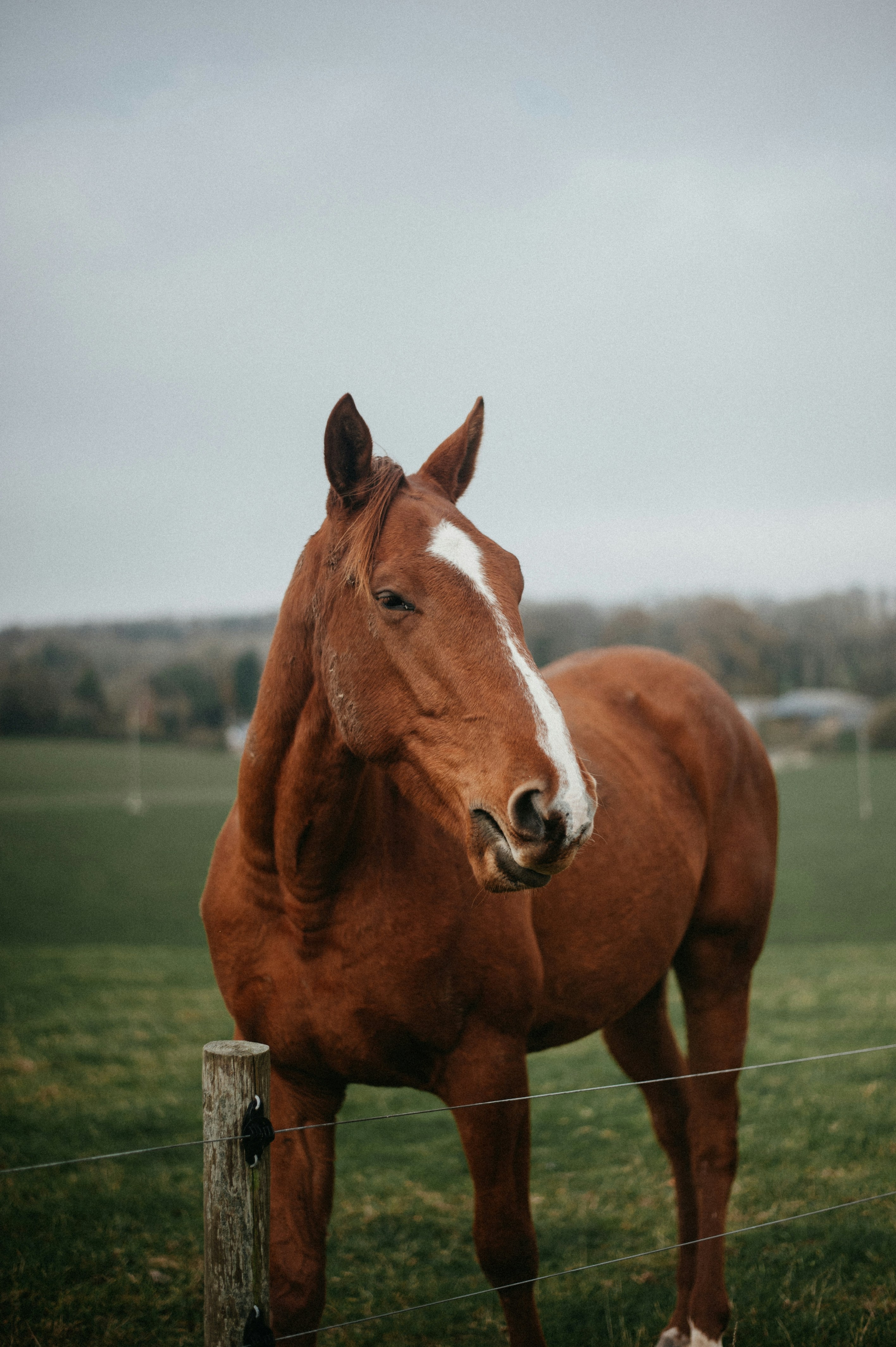 Photo by shotsbysophie