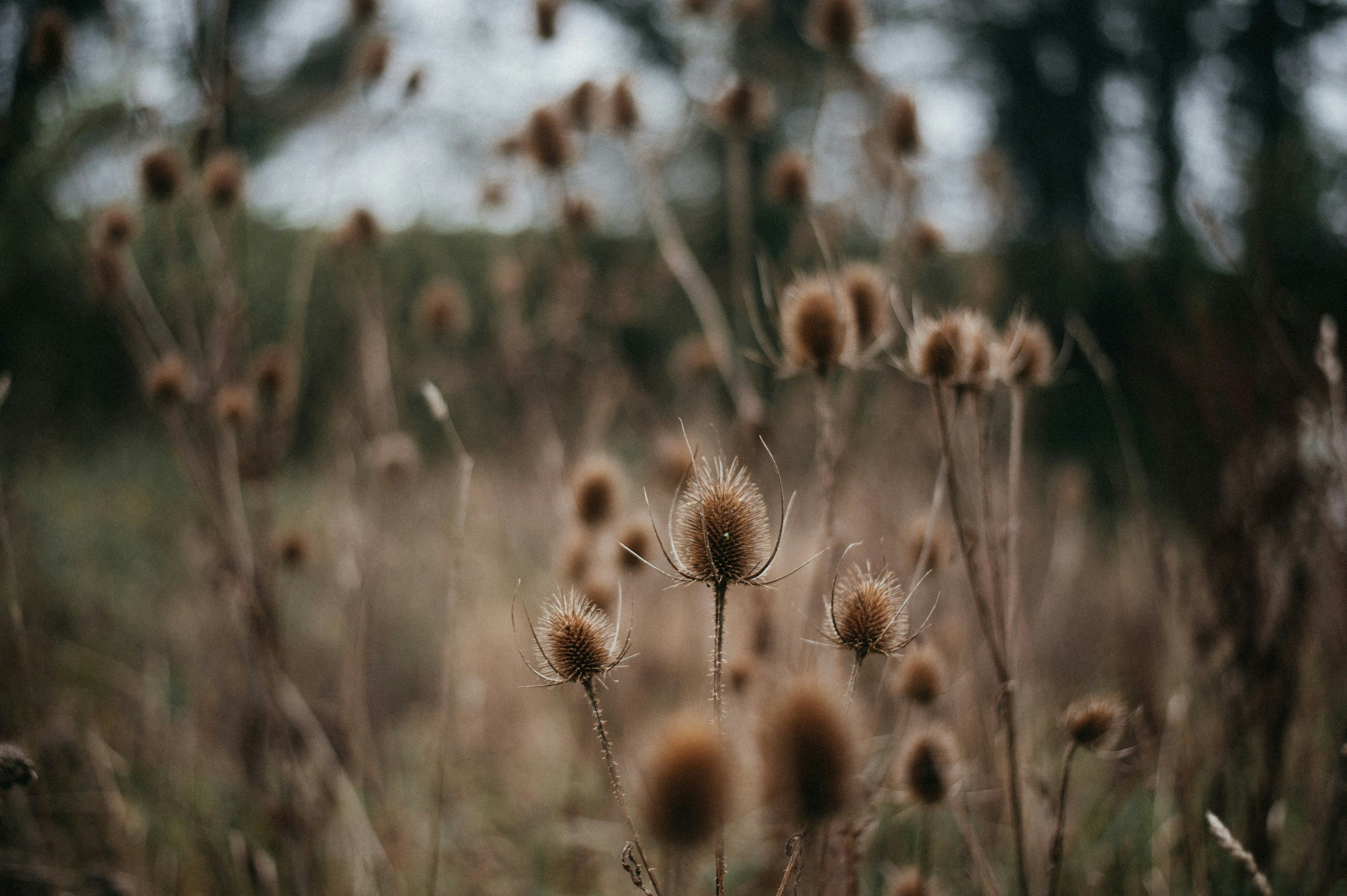 Photo by shotsbysophie