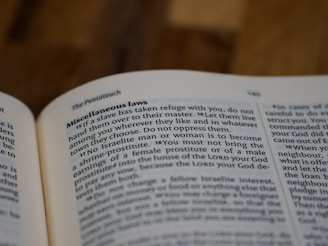 A close-up view of a page in a text, specifically The Pentateuch, highlighting a section titled 'Miscellaneous laws' that discusses various laws and guidelines.