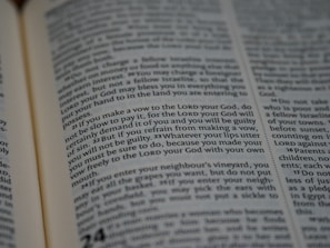 A close-up of legal books and documents.