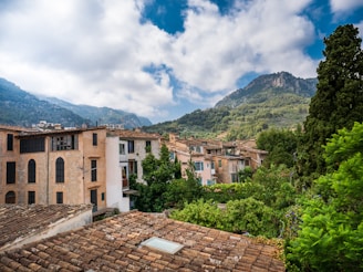 A picturesque village scene showcasing lush greenery and traditional homes.