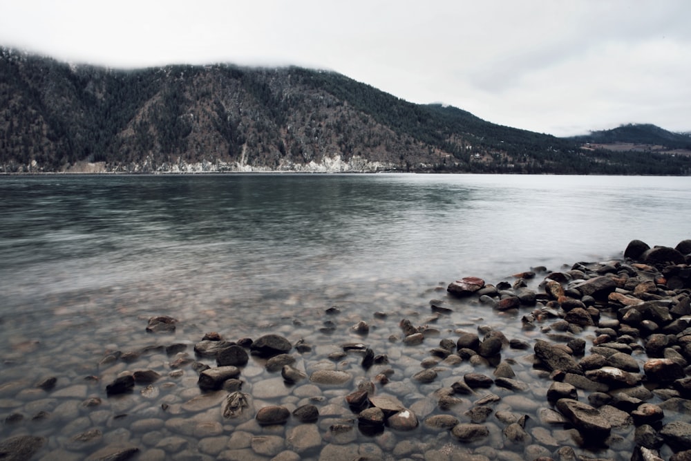 brown rocky shore near green mountain during daytime