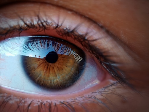 A close-up photograph of a human eye with rich brown and gold hues in the iris, accented by dark, contrasting eyelashes. The reflection in the eye captures a distant horizon with faint silhouettes, possibly of buildings or trees.