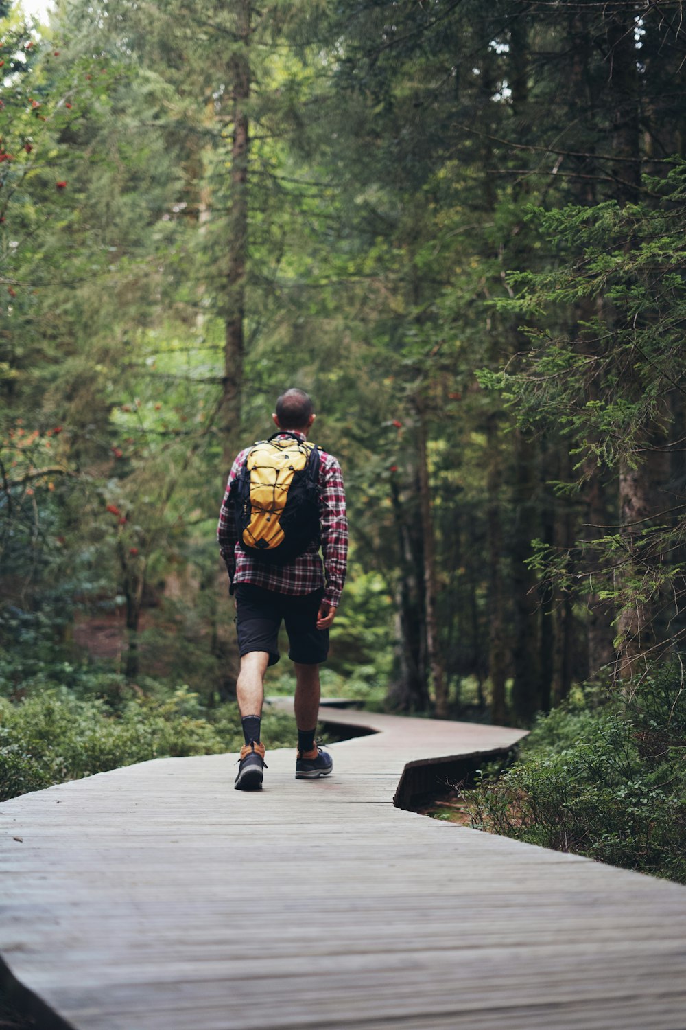 man in yellow and black plaid shirt and black shorts standing on gray concrete pathway surrounded