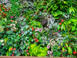 A spacious horizontal garden with diverse plants and flowers.