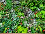 A lush green vertical wall showcasing diverse plant varieties.
