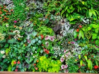 A lush vertical garden filled with a diverse array of plants. Various shades and textures of green leaves are interspersed with vibrant flowers in colors including red, pink, and orange. Many of the leaves have unique patterns or shapes, contributing to a rich tapestry effect.