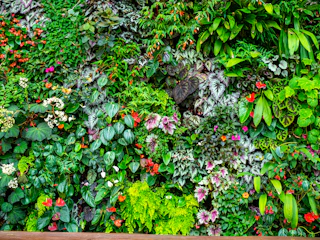 Close-up of a vibrant vertical garden with diverse plant species.