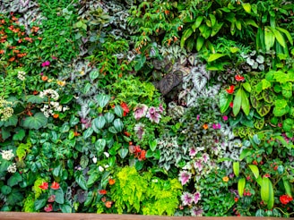 A lush vertical garden filled with a diverse array of plants. Various shades and textures of green leaves are interspersed with vibrant flowers in colors including red, pink, and orange. Many of the leaves have unique patterns or shapes, contributing to a rich tapestry effect.