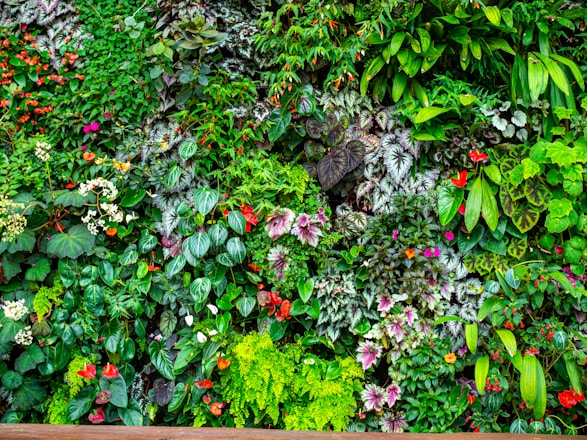A lush vertical garden filled with a diverse array of plants. Various shades and textures of green leaves are interspersed with vibrant flowers in colors including red, pink, and orange. Many of the leaves have unique patterns or shapes, contributing to a rich tapestry effect.