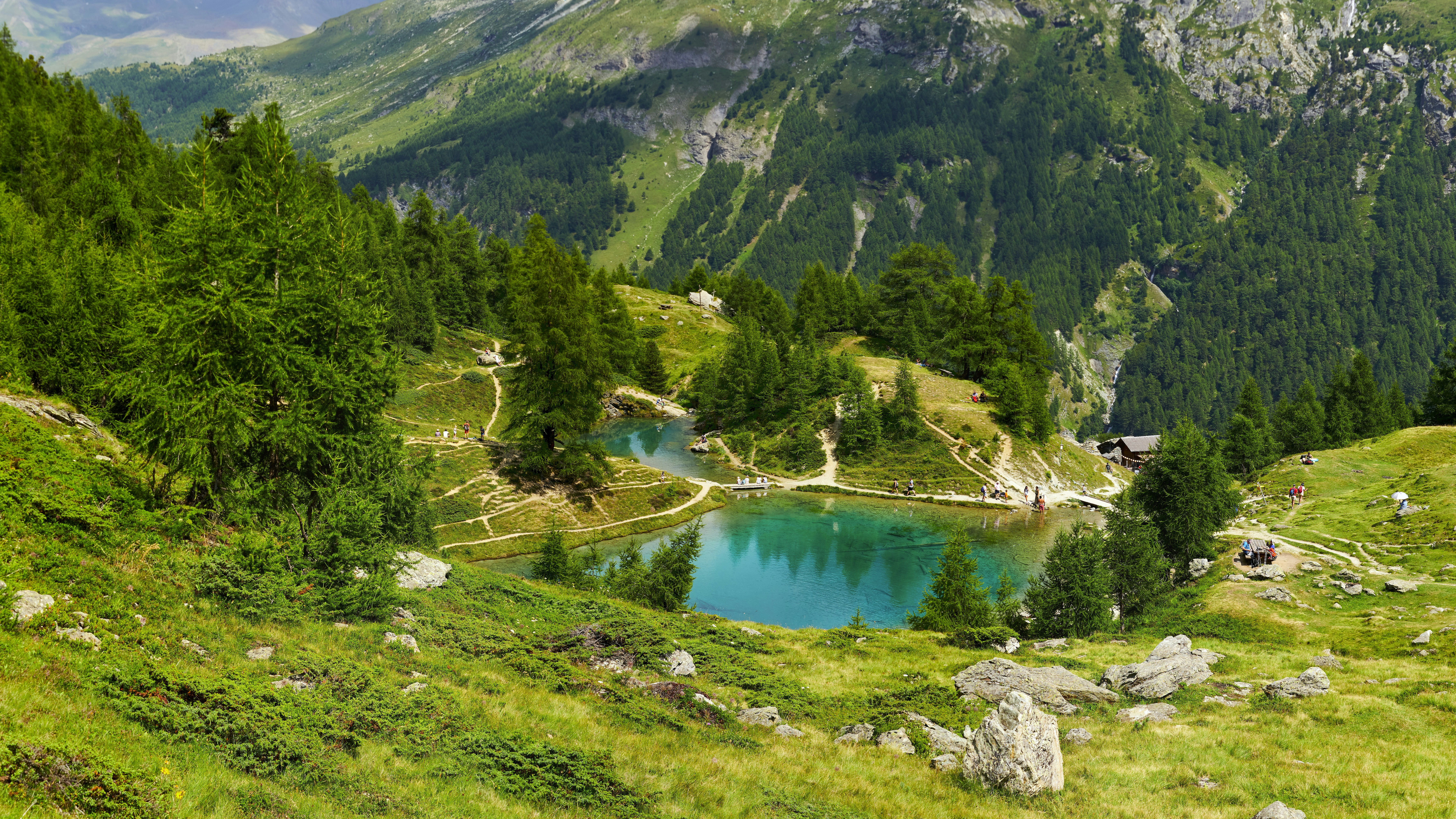 green trees on mountain near lake during daytime