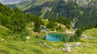 A picturesque alpine landscape featuring a serene, turquoise-colored lake surrounded by lush, green trees and rugged rocky terrain. Winding trails lead through the scene, with the backdrop of towering, forested mountains. A few people can be seen enjoying the natural beauty, engaging in activities such as hiking and resting.